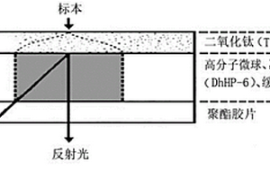 基于次血红素六肽的干化学过氧化氢检测方法