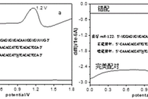 检测核酸的电化学方法