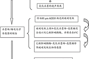 石墨烯/酶电化学生物传感器的制备及对有机磷农药残留的检测