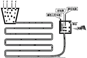 高选择性一步检测复杂介质中疾病标志物的光电化学装置及方法