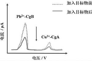 同时检测两种神经内分泌肿瘤标志物的电化学免疫传感器