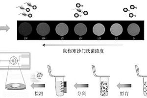 基于可视化多色电化学发光技术快速检测沙门氏菌的方法