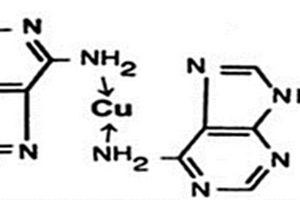 基于铜离子增敏的腺嘌呤和鸟嘌呤电化学检测方法