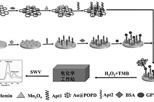 基于H-rGO-Mn3O4纳米酶的夹心型电化学传感器双信号检测GP73的方法