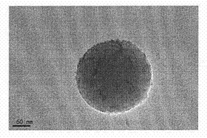 锑化镉量子点免疫标记物的制备及电化学夹心免疫检测方法