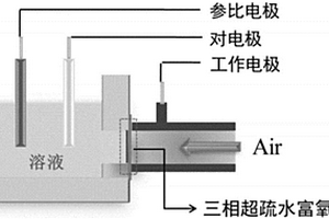 富氧抗干扰的葡萄糖电化学检测方法