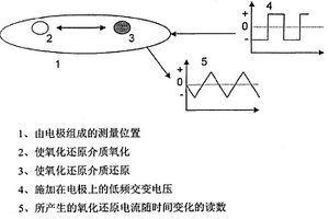 用于检测化学或生物成分的方法以及用于此的电极布置