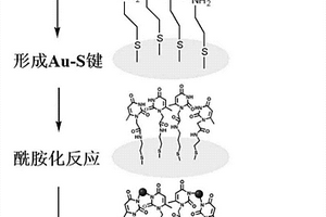 自组装电化学传感器及其在水相中痕量汞离子的检测中的应用