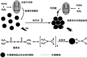 化学发光纳米传感器及其检测残留农药福美双的应用