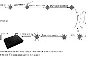 单珠光子晶体微球液相芯片化学发光法高灵敏度检测黄曲霉毒素B1的方法