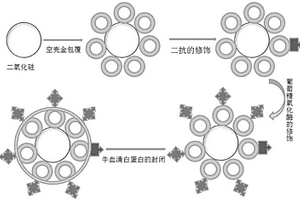 检测肿瘤标志物流动注射化学发光免疫传感器的制备及应用