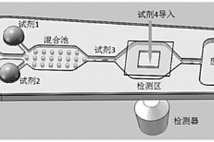 均相化学发光微流控芯片及其检测方法