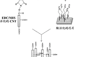 全细胞细菌生物电容器芯片和用该芯片检测毒性化学物质诱导的细胞应激的方法