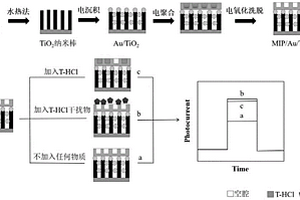 检测盐酸四环素的TiO2基分子印迹型光电化学传感器及其制备方法