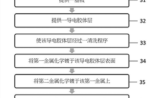 电化学检测试片的制造方法