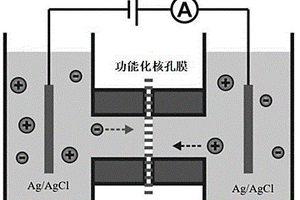 基于功能化核孔膜的CA50抗原电化学检测方法