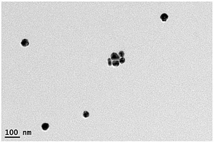 检测甲胎蛋白的电化学生物传感器及其制备方法