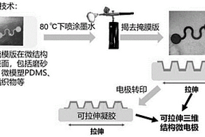 可拉伸的电化学三维微电极及其在生物分子检测方面的应用