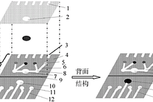 多参数纸芯片电化学免疫传感器及肺癌标志物检测方法