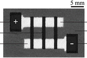 闭合式多元双性电极电化学发光芯片及其应用