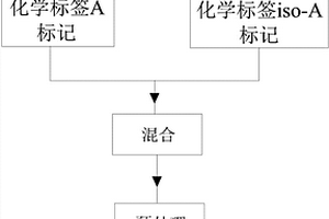 基于化学标记技术的蛋白质同位素稀释串联质谱检测方法