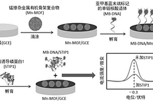 检测应激诱导磷蛋白的纳米电化学适体传感器的制备方法