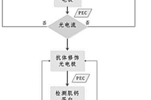 用于心肌损伤标记物检测的光电化学免疫传感器的制备方法