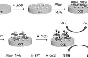 基于MoS<sub>2</sub>-AuNPs-PPY复合材料无酶检测葡萄糖的电化学传感方法