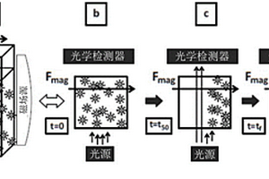 用于检测生物及化学物质的光学磁光方法