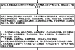 基于化学衍生的磷脂分类检测和定量方法