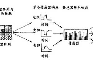 用于探测流体中分析物的传感器阵列