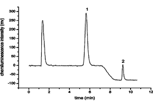 离子液体-加速溶剂萃取高效液相色谱化学发光检测芦丁和槲皮素