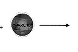对痕量TNT检测的CaMoO4 : Tb3+荧光探针的化学制备方法