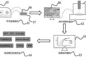 利用扫描电化学显微镜（SECM）检测不可逆电穿孔程度的方法