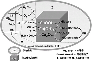 氧化亚铜薄膜基无酶-氧灵敏的葡萄糖光电化学传感器的构建方法和检测方法