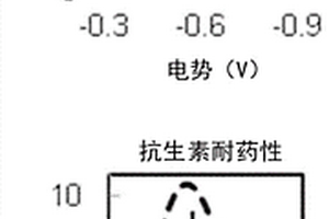 电化学代谢活性检测装置