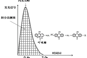 基于吖啶酯化学发光、链霉亲和素磁珠-生物素放大反应体系及检测试剂盒