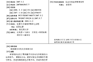 靶核酸序列电化学检测方法