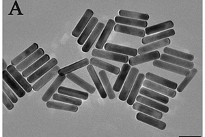 检测β-淀粉样蛋白寡聚物的阴极光致电化学生物传感器及其构建方法