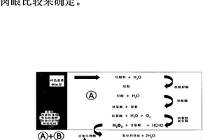 通过内源校准物对待分析物进行偶联的酶免疫化学测定的方法