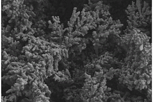 树枝状纳米金修饰玻碳电极电化学检测硒（Ⅳ）的方法