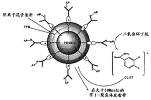 通过从活化的化学发光的基质将能量转移至能量受体染料来检测生物分子的试剂、试剂盒和方法