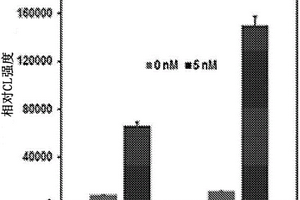 用于检测凝血因子的化学发光生物传感器