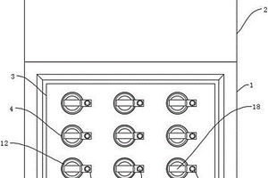 非洲猪瘟病毒化学发光抗体检测试剂盒