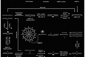 点击化学介导的单量子点纳米传感器及检测miRNAs的方法与应用
