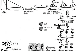 通过非流失共价结合将酶结合于电极的无介体电化学葡萄糖检测过程及其产品