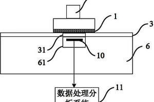 化学机械抛光终点侦测装置及方法