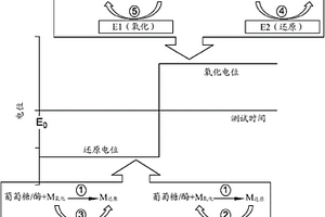 分析物浓度测量