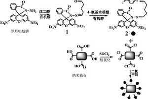 用于检测Cu(II)离子和NO的纳米探针的制备方法