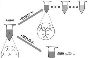 基于适配体纳米金探针的CRP检测探针及试剂盒